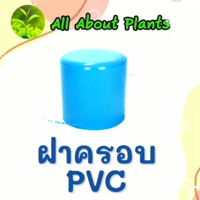 ฝาครอบ-pvc-ตรา-top-21-2-2นิ้วครึ่ง-ฝาครอบท่อpvc-ขนาด-2นิ้วครึ่ง-ตัวอุดท่อ-ฝาปิดท่อพีวีซี-allaboutplants