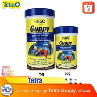 ภาพขนาดย่อของภาพหน้าปกสินค้าอาหารปลาหางนกยูงชนิดแผ่น Tetra Guppy จากร้าน lovefishshop บน Shopee