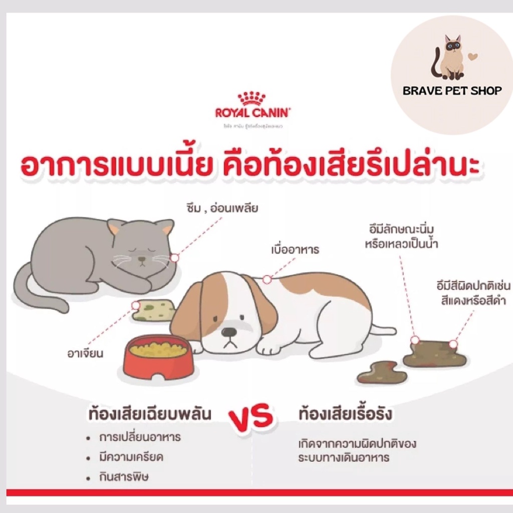 อาหารแมว-royal-canin-gastrointestinal-แมวท้องเสีย-สำหรับลูกแมว-และแมวโต-400-g