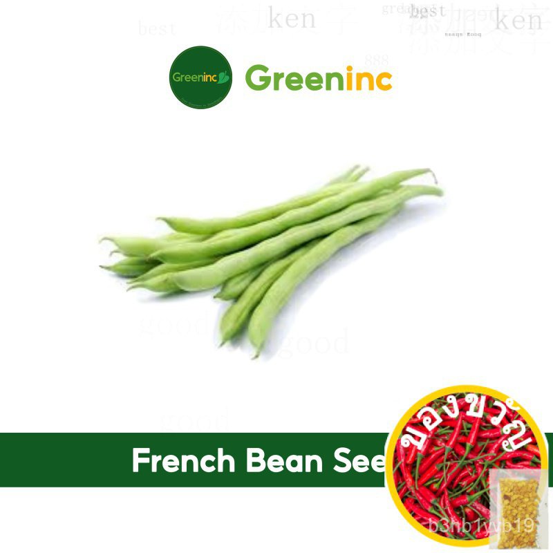 French Bean / Snap Beans Seeds (ถั่วเขียว) Vegetable Seeds from SGพาสต