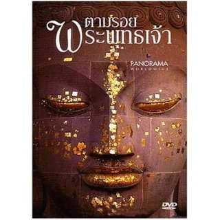 dvd แผ่น ราคาพิเศษ | ซื้อออนไลน์ที่ Shopee ส่งฟรี*ทั่วไทย dvd แผ่น ราคาพิเศษ | ซื้อออนไลน์ที่ Shopee ส่งฟรี*ทั่วไทย