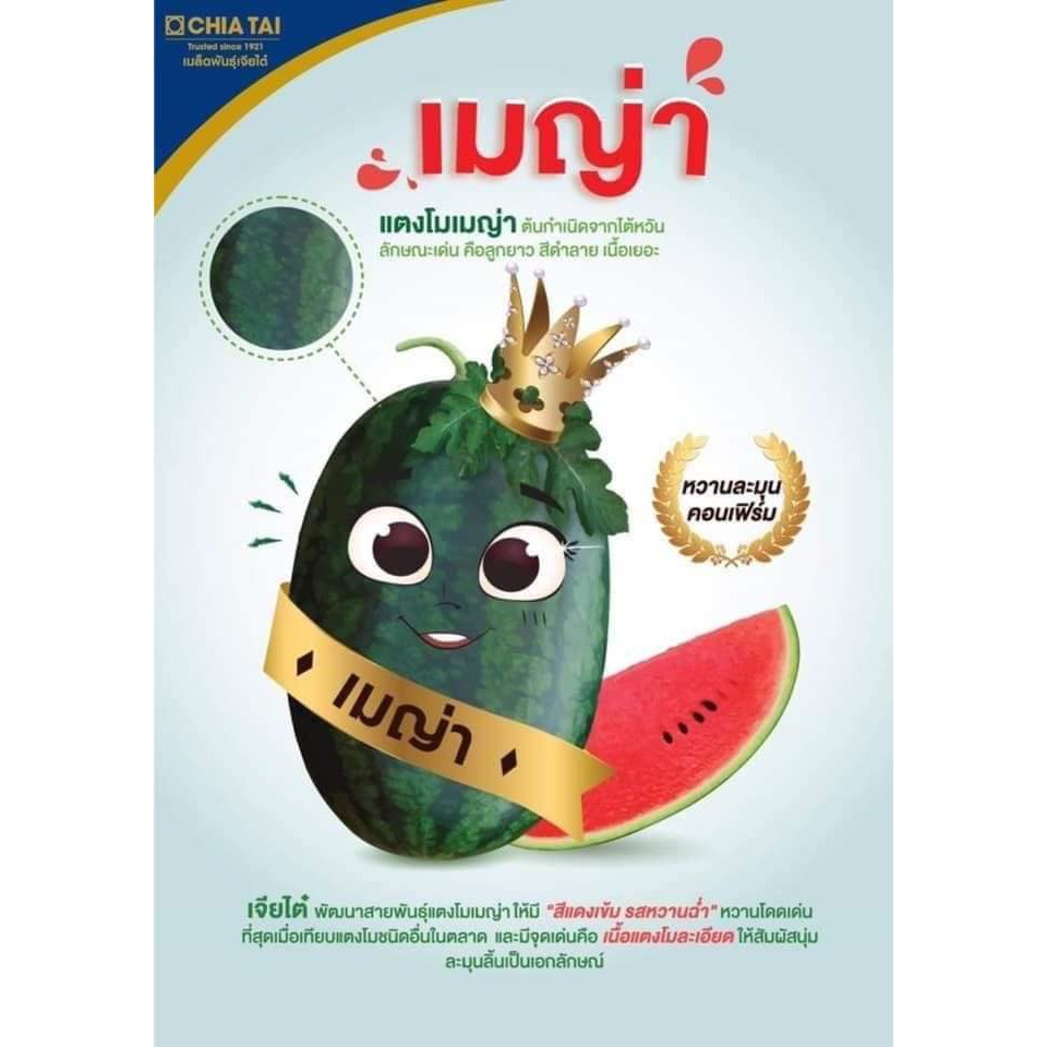 แตงโมเมญ่า-ขนาด-40-กรัม-เนื้อดี-งามนิยม-ลูกใหญ่-ผลดก-น้ำหนักดี