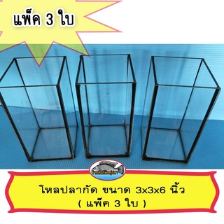 โหลปลากัด ขนาด 3x3x6 นิ้ว ( แพ็ค 3 โหล )