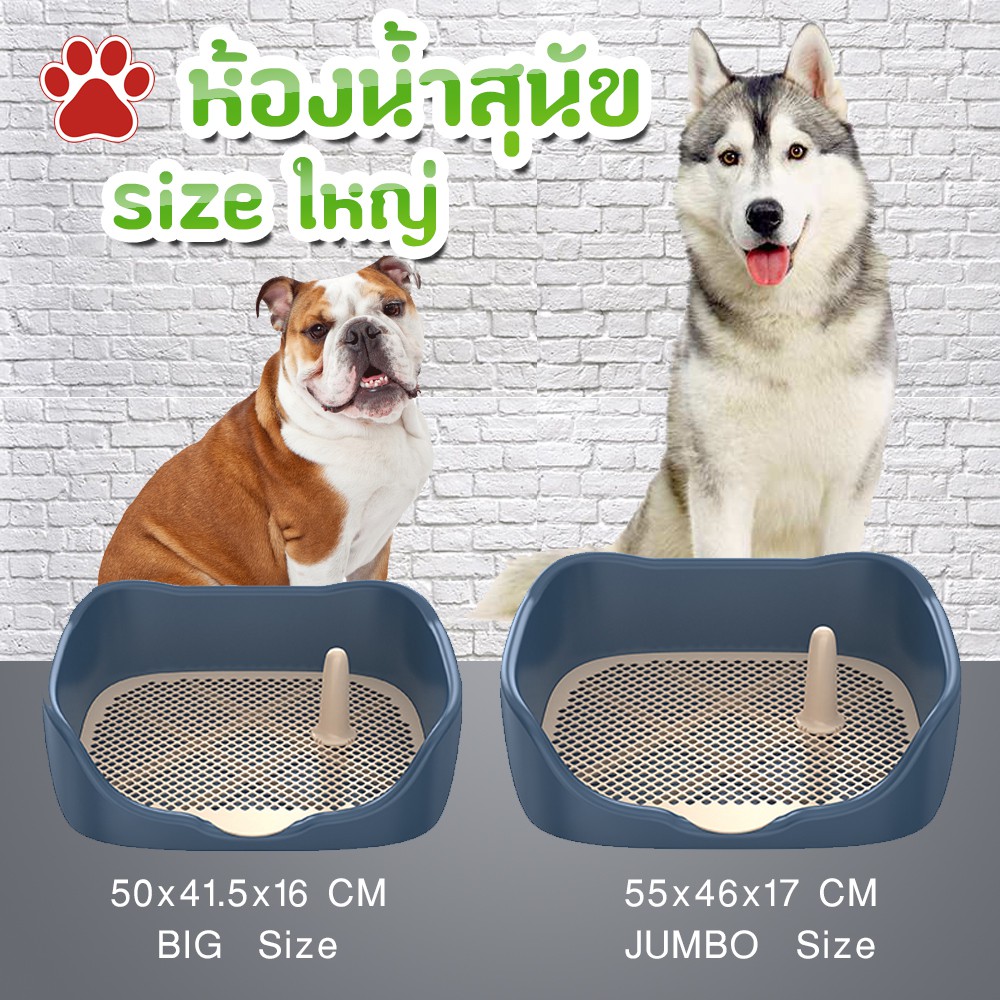 ราคาและรีวิวห้องน้ำสุนัข ห้องน้ำสุนัขมีขอบ ห้องน้ำสุนัขใหญ่ ห้องน้ำสุนัขจับโบ้ ห้องน้ำสุนัขราคาถูก