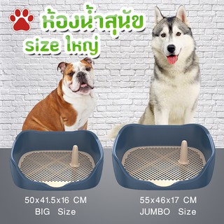 ภาพขนาดย่อของสินค้าห้องน้ำสุนัข ห้องน้ำสุนัขมีขอบ ห้องน้ำสุนัขใหญ่ ห้องน้ำสุนัขจับโบ้ ห้องน้ำสุนัขราคาถูก