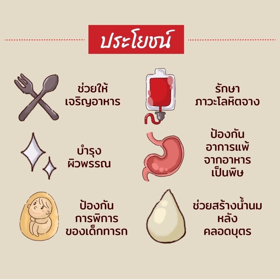 ภาพสินค้านูทริ โฟลิค กิฟฟารีน NUTRI FOLIC GIFFARINE เสริมธาตุเหล็ก สร้างเม็ดเลือด ช่วยบำรุงเลือด จากร้าน 2care.giffarine บน Shopee ภาพที่ 1