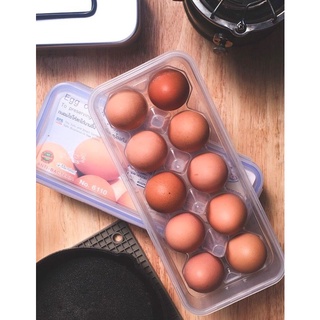 กล่องเก็บไข่ 10 ฟอง ป้องกันการแตกและยับยั้งแบคทีเรีย แบรนด์ Micron Ware รุ่น 6110