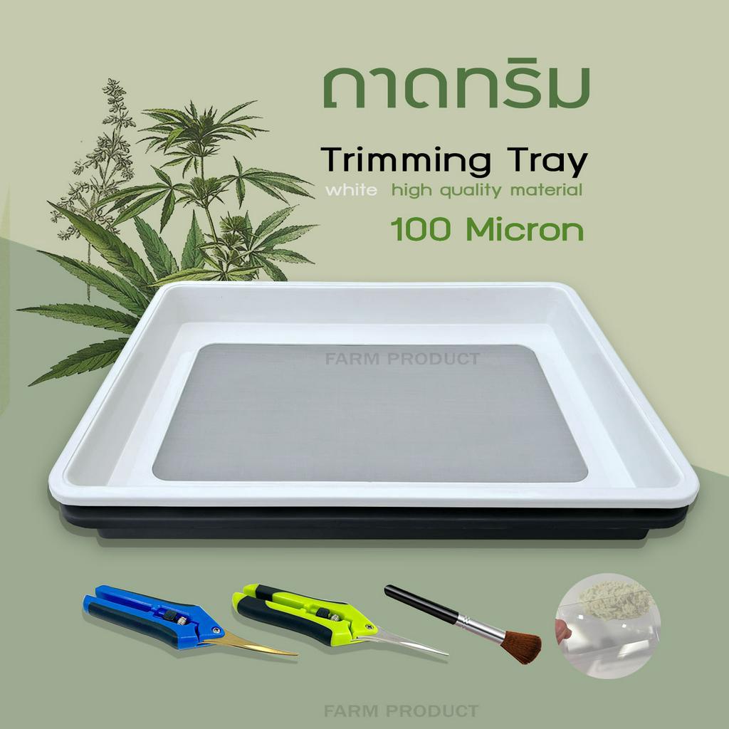 ถาดทริม Trimming tray ทริมใบไม้ กรองคีฟ