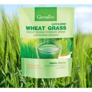 ภาพหน้าปกสินค้า🔥มีโปร🔥 วีทกราส WHEAT GRASS ต้นอ่อนข้าวสาลี มีประโยชน์ต่อลำไส้ และโรคธาลัสซีเมีย ที่เกี่ยวข้อง