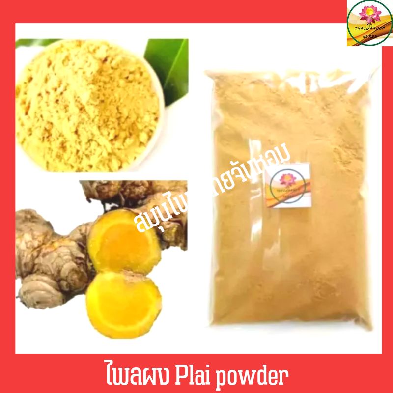 ผงไพล ไพลผง ไพลบดผง Plai powder ขนาด 500 กรัม | Shopee Thailand