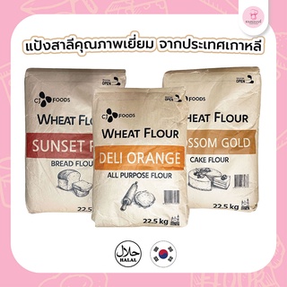 (อ่านเงื่อนไขก่อนสั่งซื้อ) แป้งสาลีเกาหลี  แป้งเค้ก BLOSSOM GOLD, แป้งขนมปัง SUNSET RED, แป้งอเนกประสงค์ DELI ORANGE