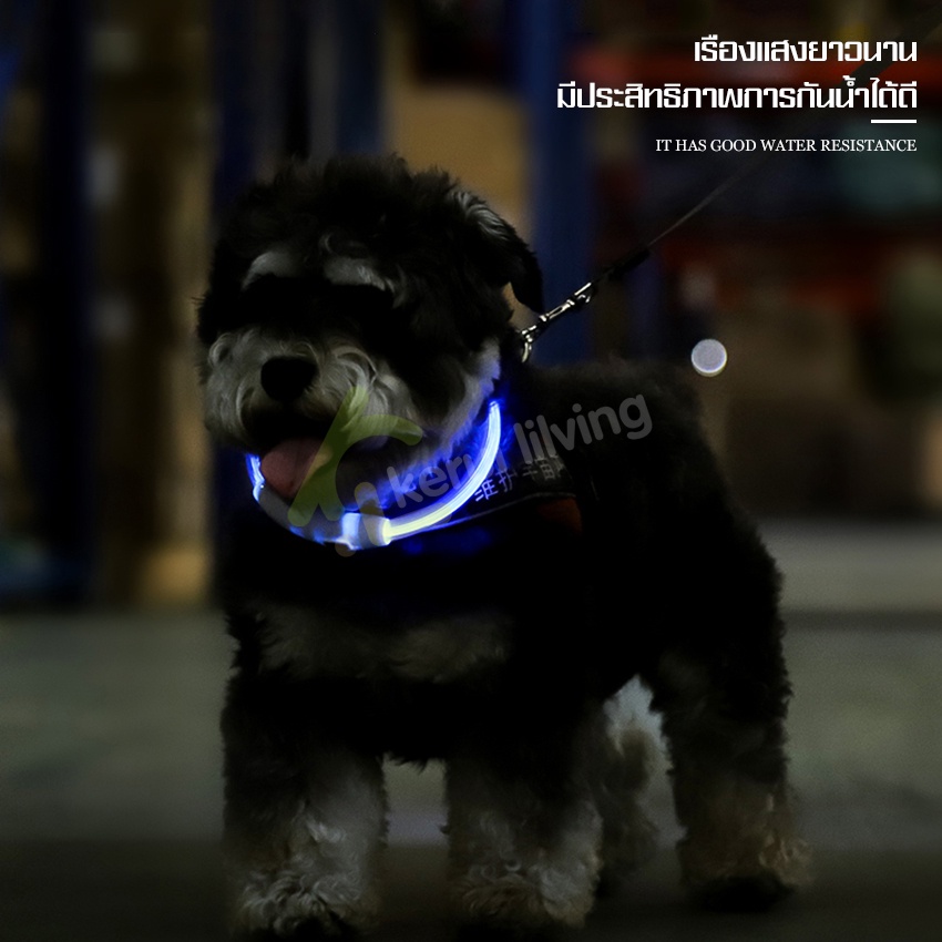 ปลอกคอสัตว์เลี้ยง-pet-collar-ปลอกคอหมา-s-m-l-สำหรับสัตว์เลี้ยง-มีไฟled-ปลอกคอสุนัข-ปลอกคอแมว-ปลอกคอเรืองแสง-glow-collar