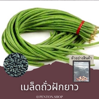 เมล็ดพันธุ์ถั่วฝักยาว  5เมล็ดเขียว  ‼️🔺ขั้นต่ำ‼️สินค้าภายในร้าน30บาทขึ้นไปค่ะ