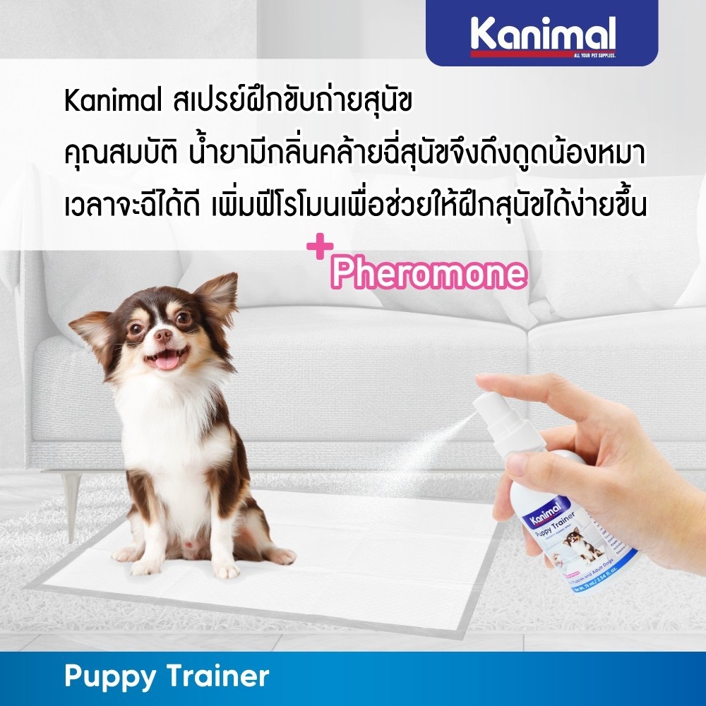 ภาพหน้าปกสินค้าใหม่ Kanimal Puppy Trainer สเปรย์ฝึกสุนัข ฝึกขับถ่าย น้ำยาฝึกฉี่ สำหรับลูกสุนัข ขนาด 75 ml. จากร้าน pettogether บน Shopee