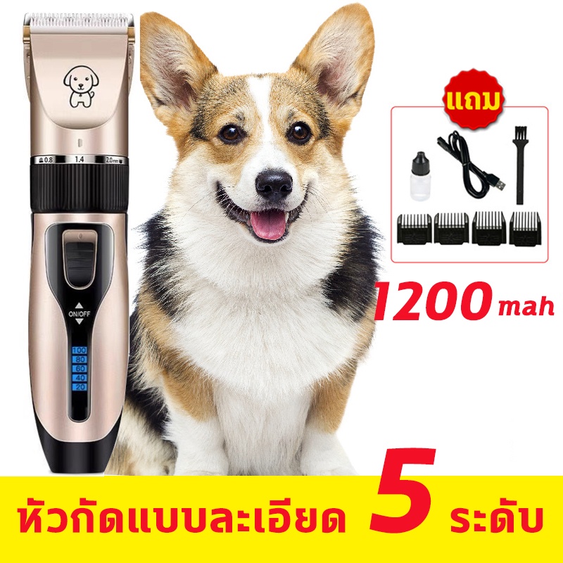 พร้อมส่ง-ที่ตัดขนสุนัข-ปัตตาเลี่ยน-ปัตตาเลี่ยนตัดขนสุนัข-ปัตตาเลี่ยนตัดขนแมว-เครื่องตัดขนสุนัข-เครื่องตัดขนแมว