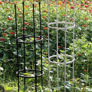 ชุดโครงไม้เลื้อย เถาวัลย์ดอกไม้ 8 มม. DIY สําหรับตกแต่งบ้าน สวน