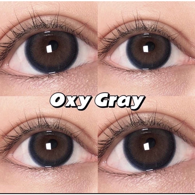 kym-gray-เลนส์คละสีเทาตัดขอบแบบธรรมชาติตาโต-คละยี่ห้อ