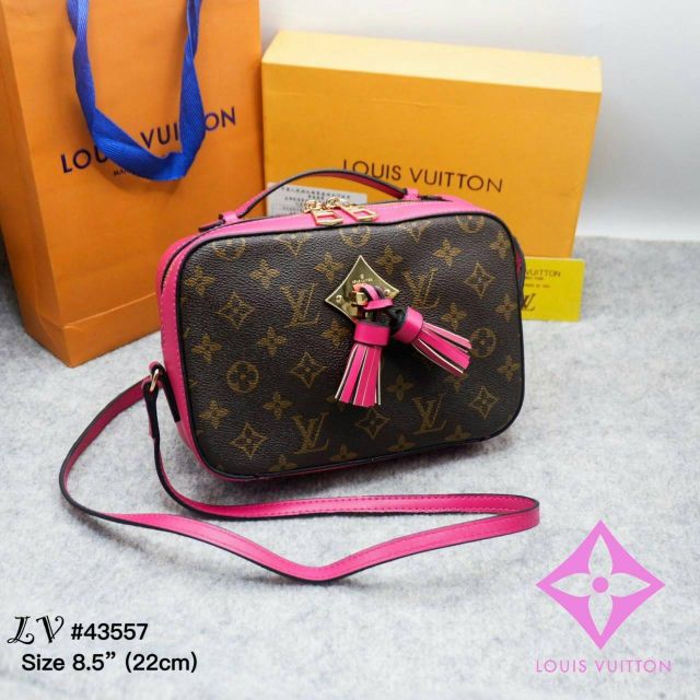 เป๋าแบรนด์-louis-vuitton-พรีเมี่ยม-ปั๊มทุกจุด