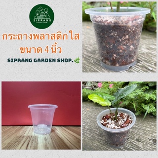 สินค้า กระถางพลาสติกใสพรีเมี่ยม ขนาด 4 นิ้ว Siprang Garden Shop  🪴 สำหรับต้นไม้ที่คุณรัก ❤️