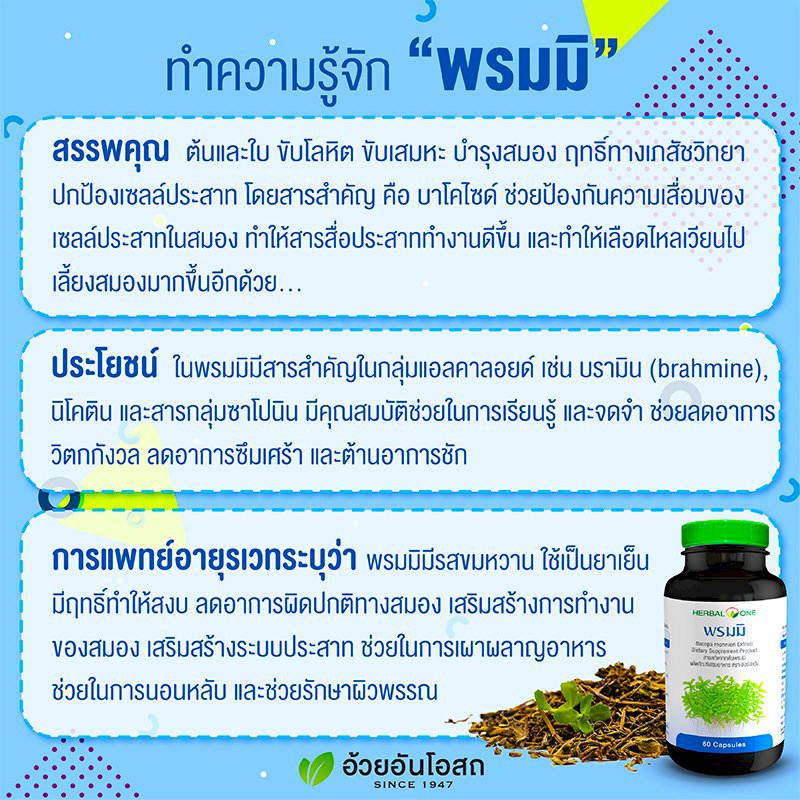 ภาพสินค้าHerbal One Bacopa พรมมิ 60 เม็ด เฮอร์เบอร์วัน สารสกัดจากต้นพรมมิ จากร้าน wecareshop บน Shopee ภาพที่ 3