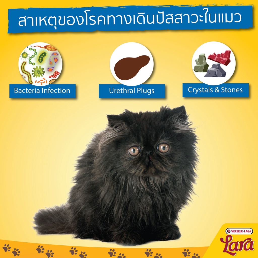 Lara Urinary Care Cat Food With Chicken (Low ph) Support Urinary Tracts