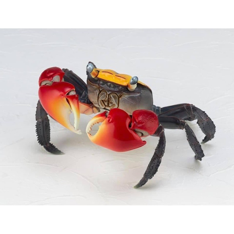revogeo-vol-2-red-clawed-crab-ปูก้ามแดง