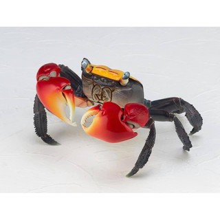 REVOGEO Vol.2  Red-clawed Crab (ปูก้ามแดง)