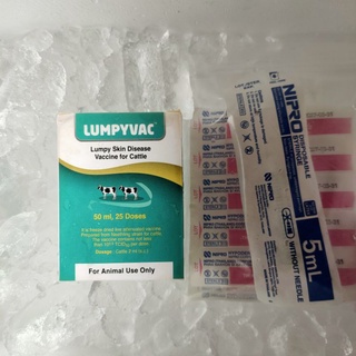 ภาพหน้าปกสินค้าวัคซีนลัมปีสกิน วัคป้องกันโรคลัมปีสกิน วัวควาย Lumpyvax ชุด 25 ตัว ที่เกี่ยวข้อง