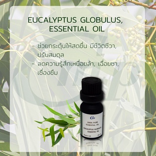 น้ำมันหอมระเหยยูคาลิปตัส Eucalyptus , Essential Oil