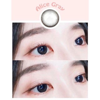 Alice Gray (1)(2) สีเทา ขอบดำ เทา โทนแบ๊ว Wink Lens ค่าสายตา สายตาสั้น แฟชั่น สายตาปกติ Contact Lens คอนแทคเลนส์ Mini Bi