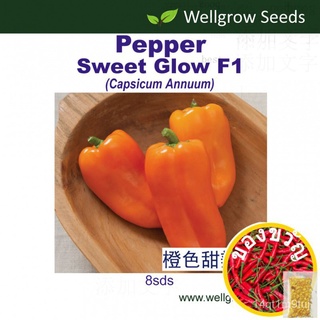 Pepper Sweet Glow F1 (8sds) สีส้ม甜辣椒：บริษัทโกลว์ชุด Vegetable Seeds Wellgrow Seedsมักกะโรนี/สร้อยข้อมือ/เมล็ดพืช/ทานตะวั