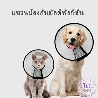 ปลอกคอ กันเลียบาดแผล 