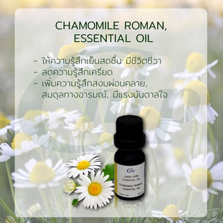 น้ำมันหอมระเหยคาโมมายด์ Chamomile Roman, Essential Oil [10 ml]