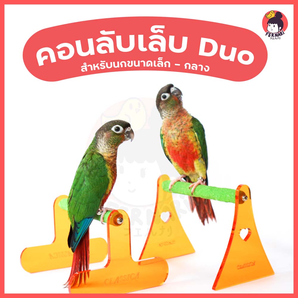 คอนลับเล็บduo-แพ็คคู่-classica-สำหรับนกแก้วขนาดเล็ก-ที่ยืนนกแก้ว-ที่เกาะนกแก้ว-ค็อกคาเทล-กรีนชีค-ซัน