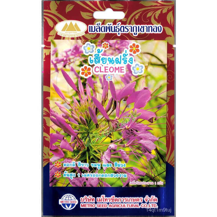 เมล็ดดอกเสี้ยนฝรั่ง-cleome-เมล็ดผักเสี้ยนฝรั่ง-เมล็ดพันธุ์ผักเสี้ยนฝรั่ง-เมล็ดพันธุ์พืชดอกไม้-เมล็ดดอกไม้-ตราภูเขาทอง-เม