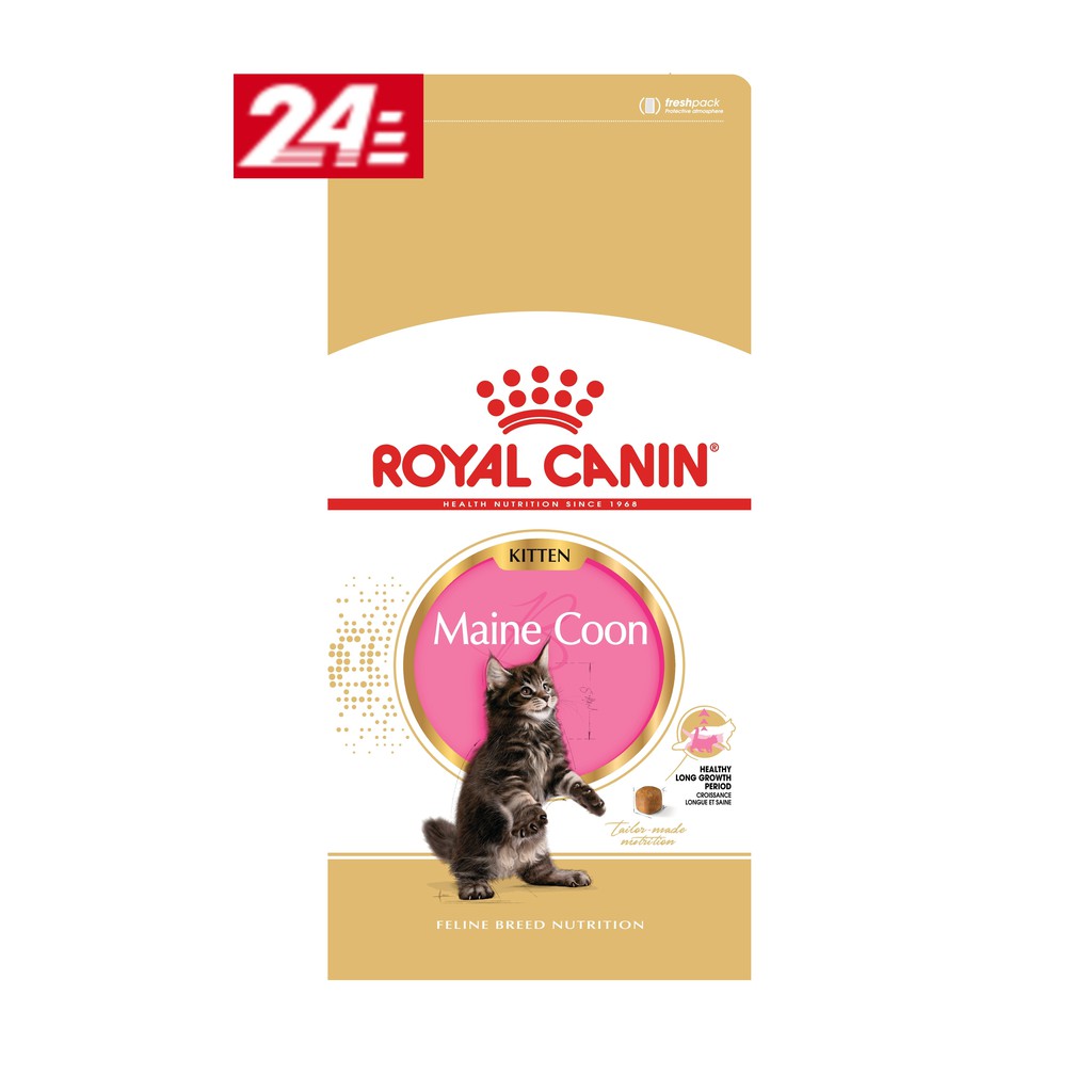 แบ่งขาย-royal-canin-maine-coon-kitten-1-กิโลกรัม-แมว-เมนคูน-เด็ก