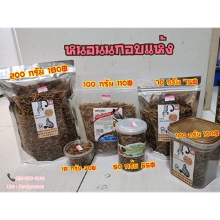 ภาพขนาดย่อของภาพหน้าปกสินค้าหนอนนกอบแห้ง  สำหรับสัตว์ จากร้าน candynamza บน Shopee