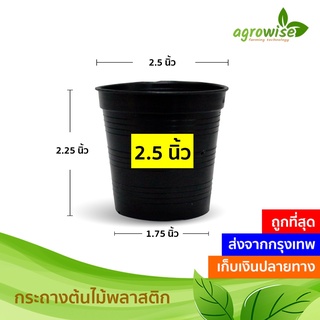 กระถางต้นไม้ กระถาง กระถางพลาสติก 2 นิ้ว 3 นิ้ว 4 นิ้ว 5 นิ้ว 5.5 นิ้ว 5.7 นิ้ว 6 นิ้ว เบอร์ 8 7.5 นิ้ว