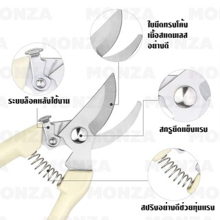 ภาพขนาดย่อของภาพหน้าปกสินค้าMonza กรรไกรตัดกิ่งไม้ กรรไกรตัดแต่งกิ่ง คีมตัดกิ่งไม้ สแตนเลส NO.Y397 Y525 Y556 Y758 จากร้าน monza_fbs บน Shopee