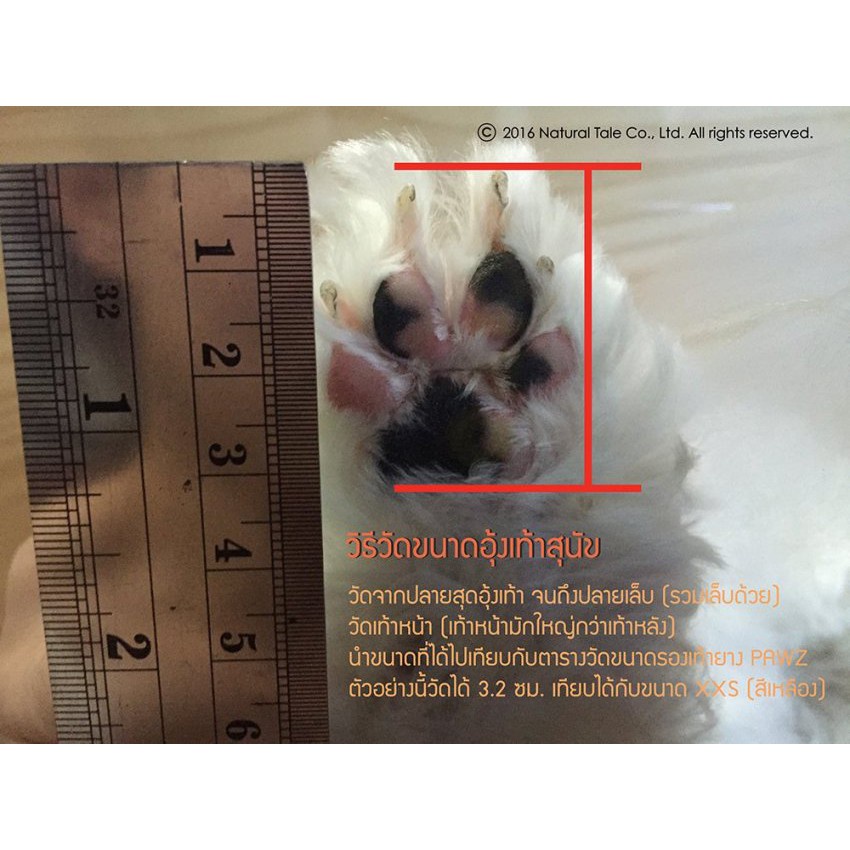 รองเท้ายางสำหรับสุนัข ขนาดเล็ก XS สีส้ม (12ชิ้น) PAWZ Dog Boots