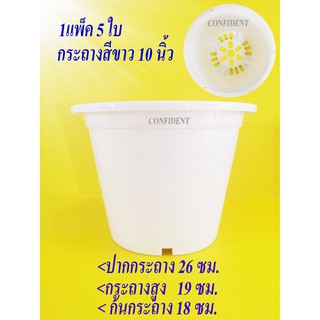 กระถางพลาสติกกลมสีขาว10นิ้ว1แพ็ค(5ใบ)ราคาถูก#กระถางปลูกต้นไม้ในสวน#กระถางปลูกดอกไม้สีขาว#กระถางต้นไม้ปลอม#กระถางปลูกผัก