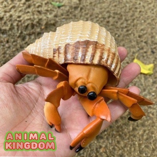 Animal Kingdom - โมเดลสัตว์ ปูเสฉวน ครีม ขนาด 12.00 CM (จากสงขลา)