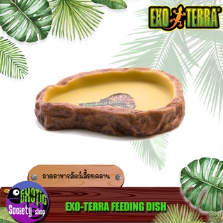 ถาดอาหารสัตว์เลื้อยคลาน EXO-TERRA FEEDING DISH (Granite rock)