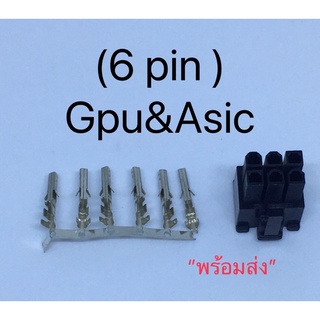 สินค้า ปลัก  6 Pin PCI-E Connector Terminal Crimp Pin Plugs