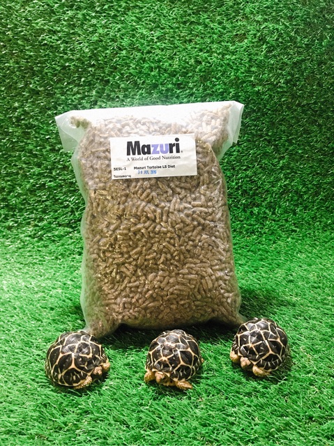 พร้อมส่ง-mazuri-5e5l-มาซูริ-อาหารเต่าบก-ซูคาต้า-sulcata-1kg