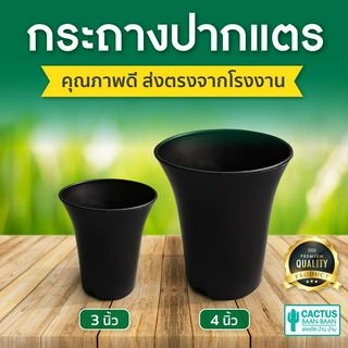 กระถางปากแตร กระถางแคคตัส กระถางกระบองเพชร กระถาง 3 นิ้ว 4 นิ้ว