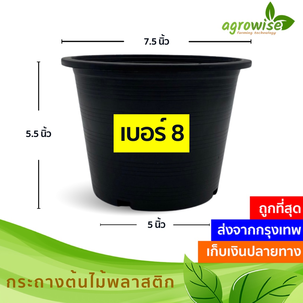 ภาพหน้าปกสินค้ากระถาง จานรอง กระถางต้นไม้ จัมโบ้ โรมัน เบอร์ 6 8 9 นิ้ว สีดำ สีขาว สีเทา สีอิฐ จากร้าน agrowise บน Shopee