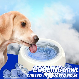 Cooling bowl ชามเจลโซลูชั่นสัตว์เลี้ยง