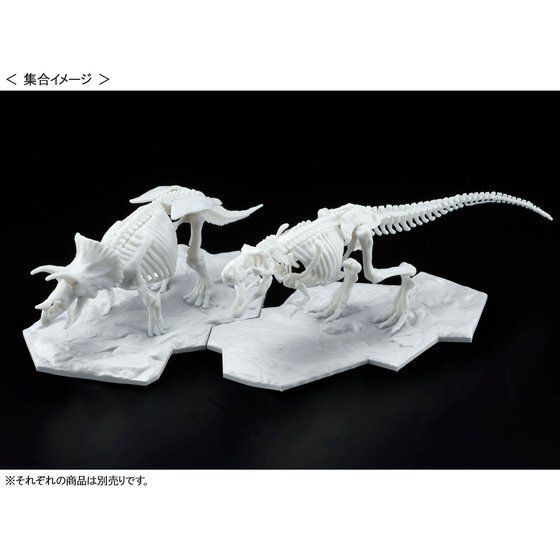 พร้อมส่ง-dinosaur-model-kit-limex-skeleton-tyrannosaurus-โมเดล-โครงกระดูก-ไดโนเสาร