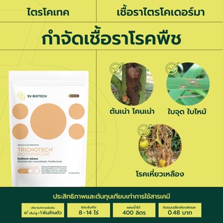 ภาพหน้าปกสินค้าไตรโคเดอร์มา งานวิจัยต่อยอด ม.เกษตร มาตรฐานIFOAM กำจัดโรคใบจุด รากเน่าโคนเน่า ใบไหม้ ไฟทอปธอร่า ราสีชมพู 500 ก ที่เกี่ยวข้อง